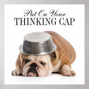 Funny Bulldog - Poster - srf