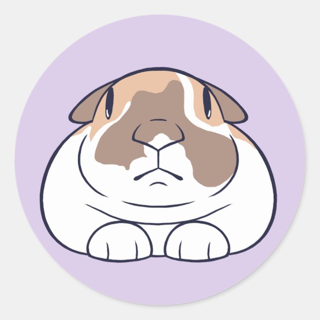 Funny Bunny Sticker! Runder Aufkleber (Vorderseite)