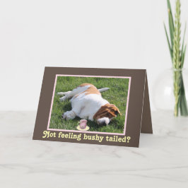 Funny Bushy Tailed "Get Well" Card w/Basset Hound Karte