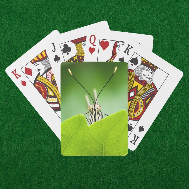 Funny Butterfly Flüchtigen Blicke über Leaf Spielkarten (A curious butterfly peeks over a vibrant green leaf on these nature inspired playing cards. )