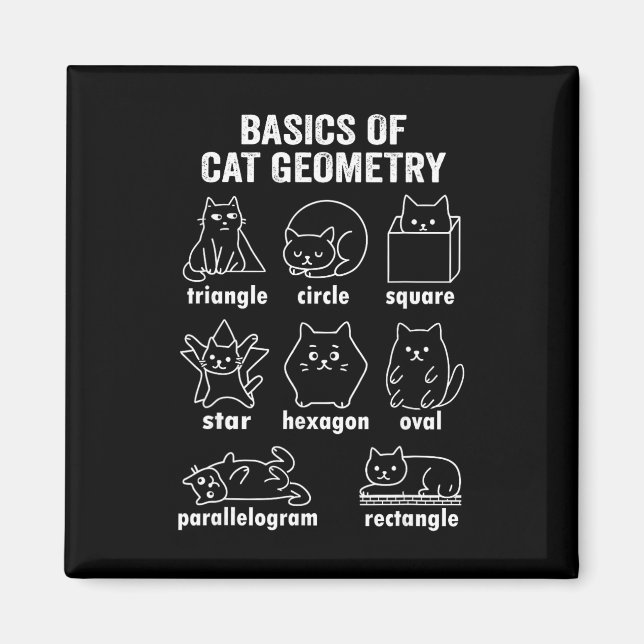 Funny Bysics Of Cat Geometry Byck To School Math T Magnet (Vorne)