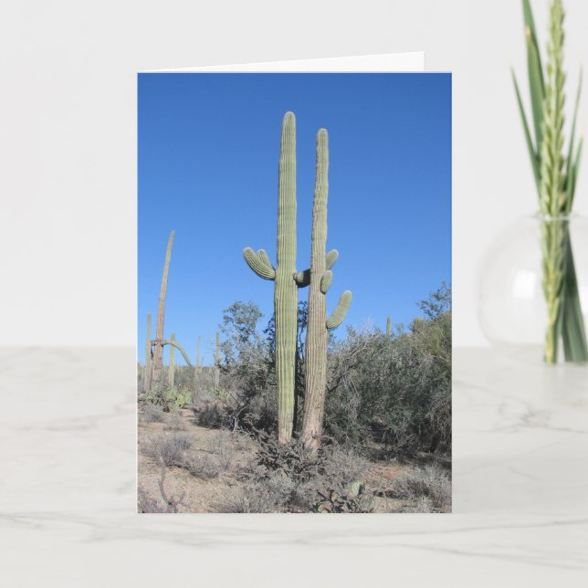 Funny Cactus Anniversary Card Karte (Vorderseite)