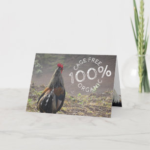 Funny Cage Gratuit Coq Bonne carte d'anniversaire
