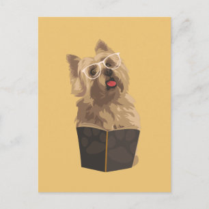 Funny Cairn Terrier Postkarte für Hunde Liebhaber