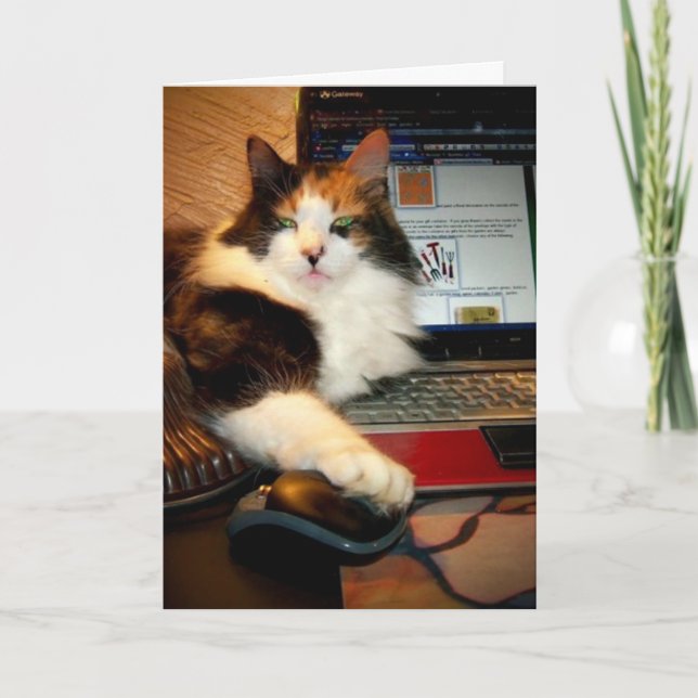 Funny Calico Cat Grußkarte Karte (Vorderseite)