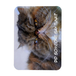 Funny Calico Persian Cat Premium Magnet