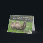 Funny Camel Birthday Karte<br><div class="desc">Ein faules Kamel,  das auf dem Gras ruht. Interessant aussehendes Tier. Diese lustige Geburtstagskarte kann auf Wunsch angepasst werden.</div>