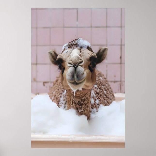Funny Camel Bubble Bath Art, Whimsical Animal Poster (Vorne)