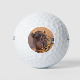 Funny Camel Classic Golfball