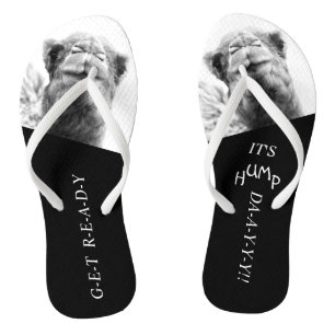 Funny Camel Hump Day Foto Flip Flops