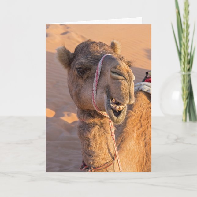 Funny Camel Karte (Vorderseite)