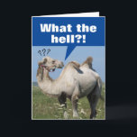 Funny Camel mit Droopy Humps Geburtstag Karte<br><div class="desc">Das komische Foto eines Kamels bemerkt,  dass ihre Höcker ertrinken. Der Text oben in großem Fettdruck sagt: "Was zur Hölle?!" Innen ist eine freundliche Erinnerung,  "Willkommen in den 'Alles ist DROOPING' Jahren". Alles Gute zum Geburtstag!" Drooping,  Sagging... Dinge sind nicht mehr dort,  wo sie einmal waren!</div>
