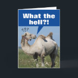 Funny Camel mit Droopy Humps Geburtstag Karte<br><div class="desc">Das komische Foto eines Kamels bemerkt,  dass ihre Höcker ertrinken. Der Text oben in großem Fettdruck sagt: "Was zur Hölle?!" Innen ist eine freundliche Erinnerung,  "Willkommen in den 'Alles ist DROOPING' Jahren". Alles Gute zum Geburtstag!" Drooping,  Sagging... Dinge sind nicht mehr dort,  wo sie einmal waren!</div>