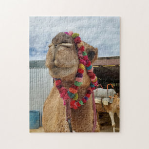Funny Camel Puzzle