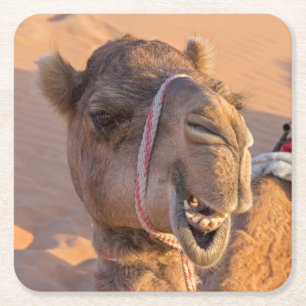 Funny Camel Rechteckiger Pappuntersetzer