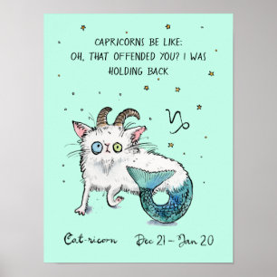 Funny Capricorn Poster Zodiac Cat Star Schild Plak