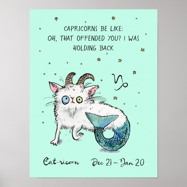Funny Capricorn Poster Zodiac Cat Star Schild Plak (Vorne)