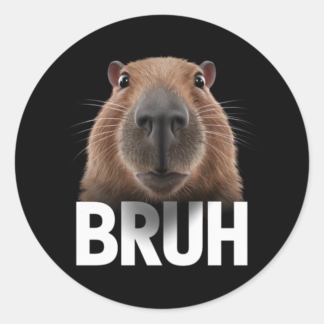 Funny Capybara Bruh Runder Aufkleber (Vorderseite)