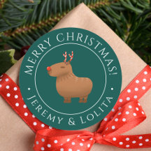 Funny Capybara Reindeer Weihnachten