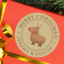 Funny Capybara Rentierfestival Weihnachten Gold