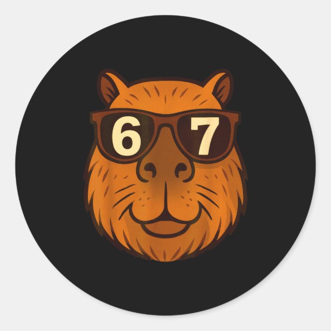 Funny Capybara Sungles 67 Six Seven Meme  Runder Aufkleber (Vorderseite)