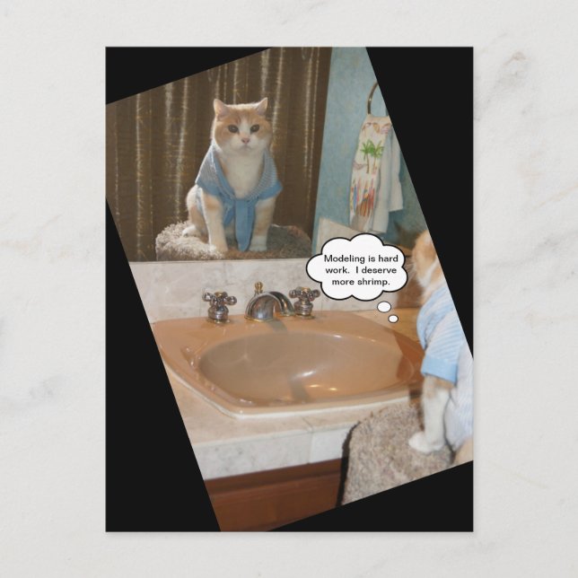 Funny Cat Affirmation About a Raise Postkarte (Vorderseite)