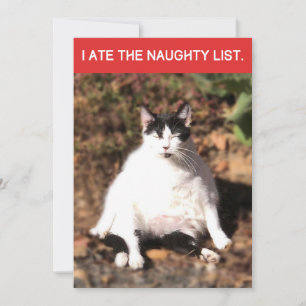 Funny Cat Ate Santa's Naughty List Weihnachten