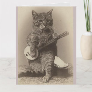 FUNNY CAT BANJO BIRTHDAY CARD DANKESKARTE