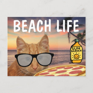 FUNNY CAT BEACH PIZZA POSTCARD POSTKARTE