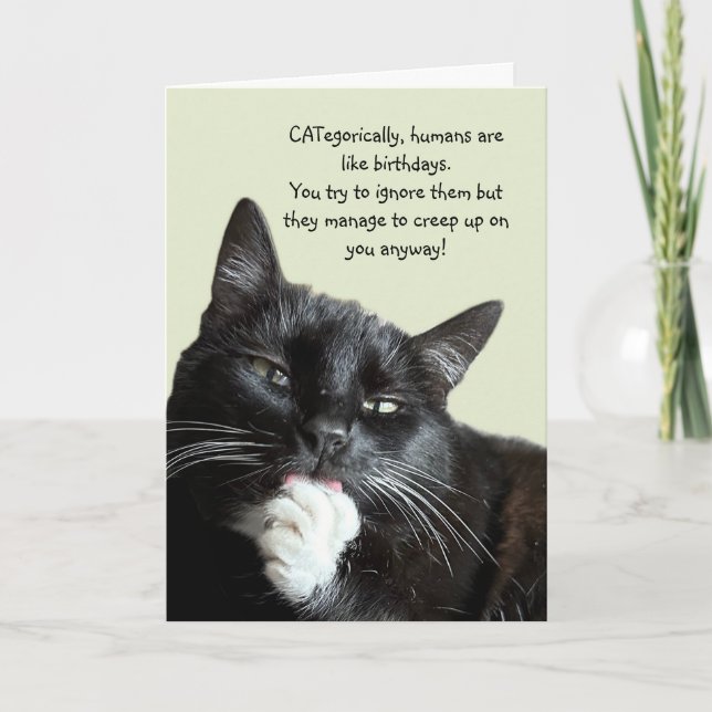 Funny Cat Birthday Card Karte (Vorderseite)