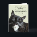 Funny Cat Birthday Card Karte<br><div class="desc">Eine lustige Geburtstagskarte,  die perfekt für jeden Katzenliebhaber ist,  der die Haltung von Katzen versteht! Diese Karte ist mit Ihrer personalisierten Nachricht anpassbar.</div>