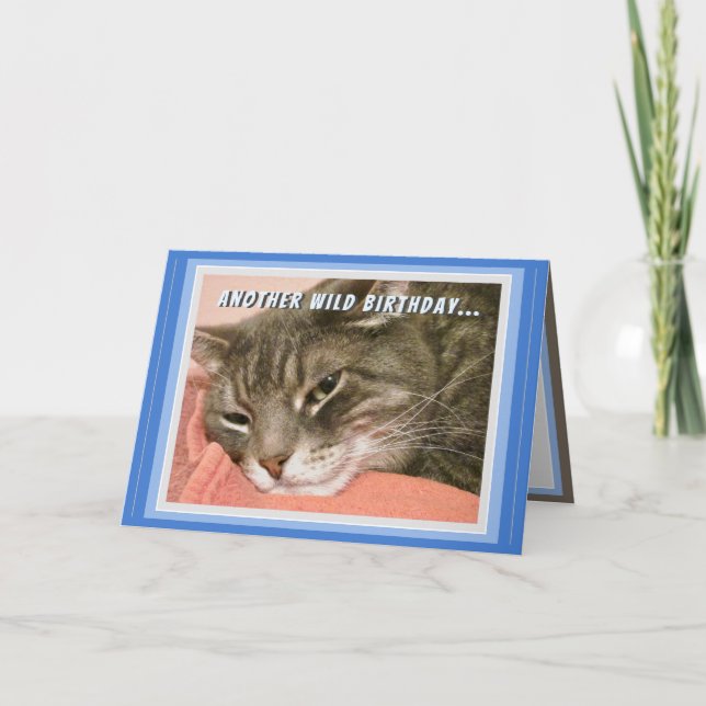 Funny Cat Birthday Card Karte (Vorderseite)