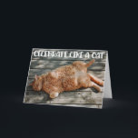 Funny Cat Birthday Grußkarte Karte<br><div class="desc">Funny Cat Chilling Birthday greeting Card for the cat lovers in your life. This cute greeting card is a perfekt way to wish Happy Birthday to a friend,  co-worker,  family member or a special someone.</div>