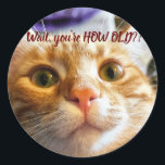 Funny Cat Birthday Runder Aufkleber<br><div class="desc">Das ist Sprocket. Sprocket es sehr ausdrucksvoll und als ich ihr erzählte, wie alt mein Alter war, ist dies der Ausdruck, den sie gemacht hat. Ich konnte diesen Moment festhalten, und ich glaube, ich habe erfasst, was sie mir zu sagen versuchte. Das brachte mir so ein Lachen! Ich hoffe, dass...</div>