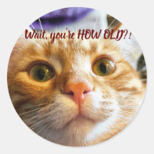 Funny Cat Birthday