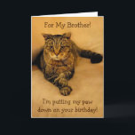Funny Cat Brother Birthday Karte<br><div class="desc">Geburtstagskarte für einen Bruder mit Rupie,  der seine Pfote für einen besonderen Spaß ablegt. Im Foto zeigt er,  was er mit Business meint. Personalisieren Sie Ihre eigene Nachricht. Vielen Dank,  dass du gesucht hast! Fotos ©Christine Greenspan</div>