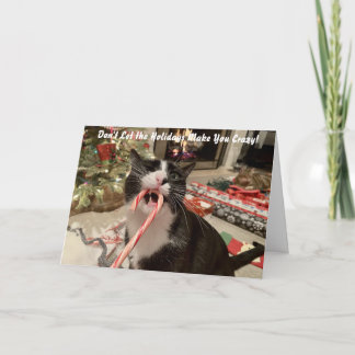Funny Cat Christmas Card Feiertagskarte
