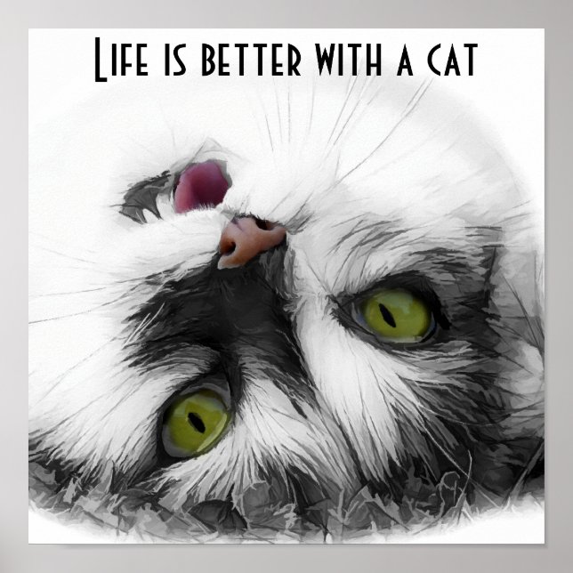 Funny Cat classic Poster (Vorne)