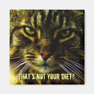Funny Cat Diet Guard Magnet