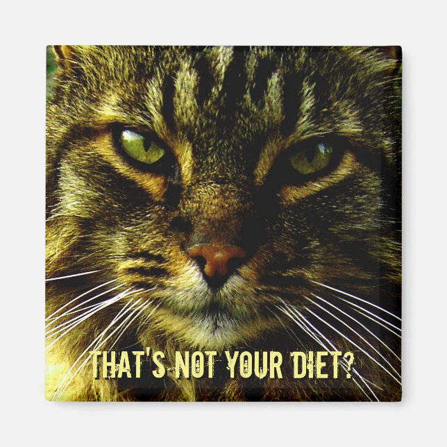Funny Cat Diet Guard Magnet (Vorne)