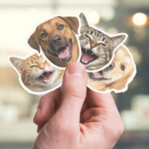 Funny Cat & Dog Faces mit Ihren benutzerdefinierte