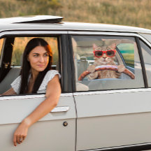 Funny Cat Driving Car Shade 16" x 12"