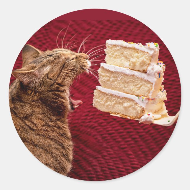 Funny Cat Eating a Big Piece Runder Aufkleber (Vorderseite)
