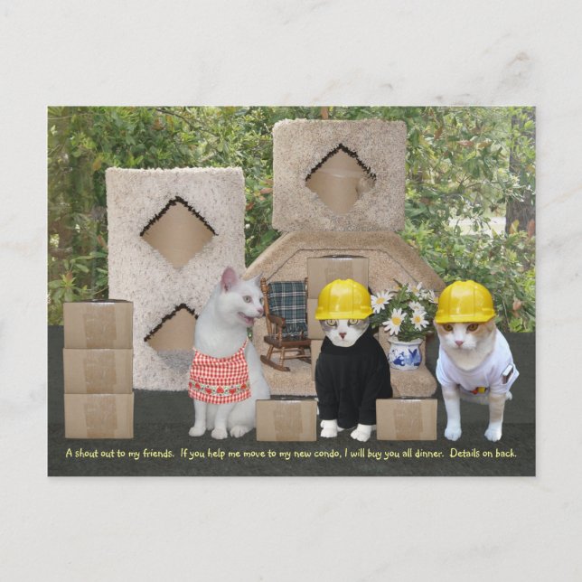 Funny Cat Einladung zu bewegen Postkarte (Vorderseite)