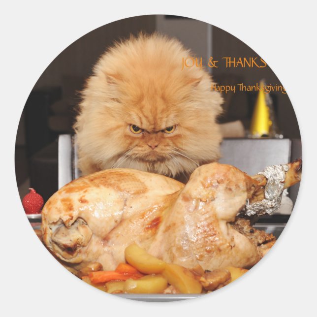 Funny Cat Erntedank Runder Aufkleber (Vorderseite)
