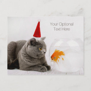 Funny Cat & Fish Custom Text Weihnachtspostkarte Feiertagspostkarte
