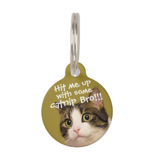 Funny Cat Foto Catnip Caption Haustiermarke