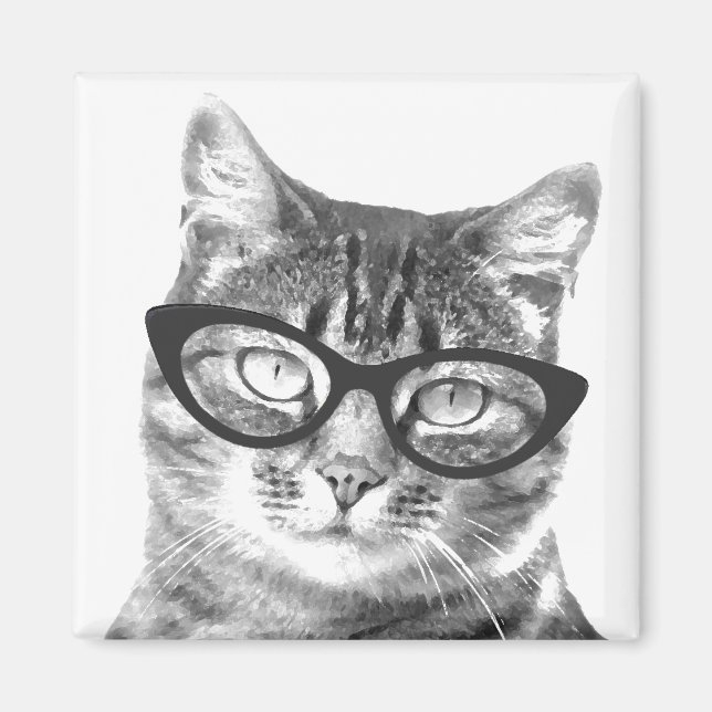 Funny Cat Foto Magnete Magnet (Vorne)