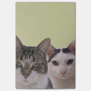 Funny Cat Gang Post-it Klebezettel