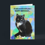 Funny Cat Geburtstagskarte von der Katze Karte<br><div class="desc">Die lustige Geburtstagskarte der Katze! Diese Karte ist mit Ihrer personalisierten Nachricht anpassbar. Macht es stattdessen von euch!</div>